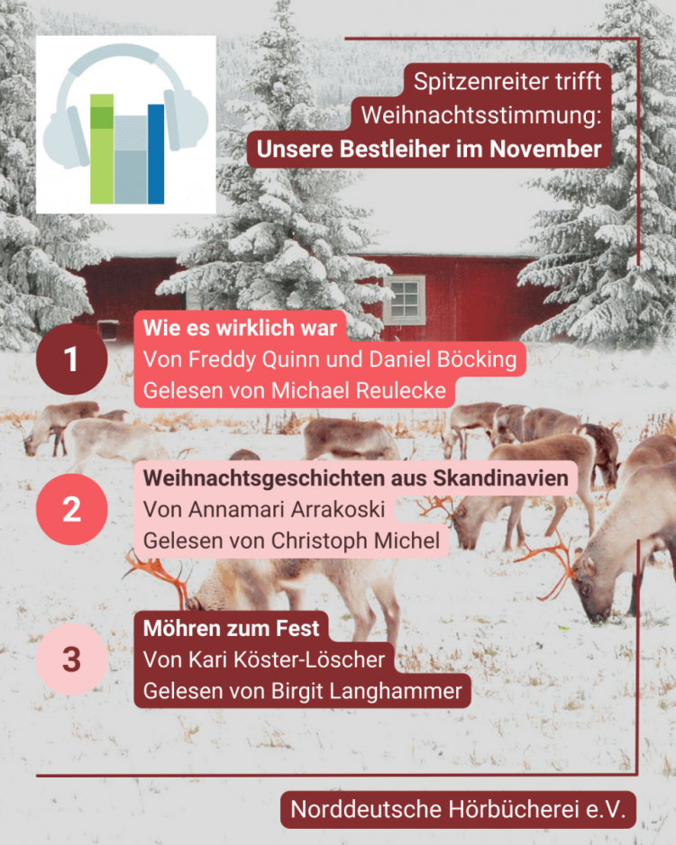 Bild mit den November Bestleihern wie im Text. Dahinter ein Dekoratives Bild einer skandinavischen Winterszene: Rentiere grasen auf einer verschneiten Wiese vor einem roten Holzhaus. Davor verschneite Tannenbäume.